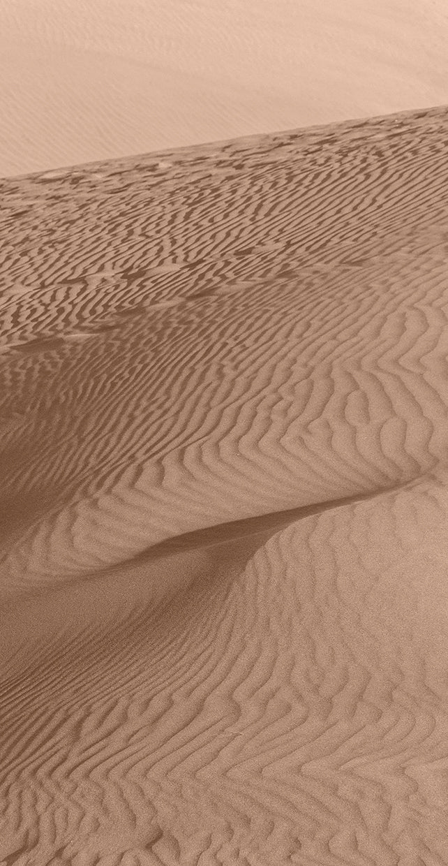 Light Earth Pallet 2