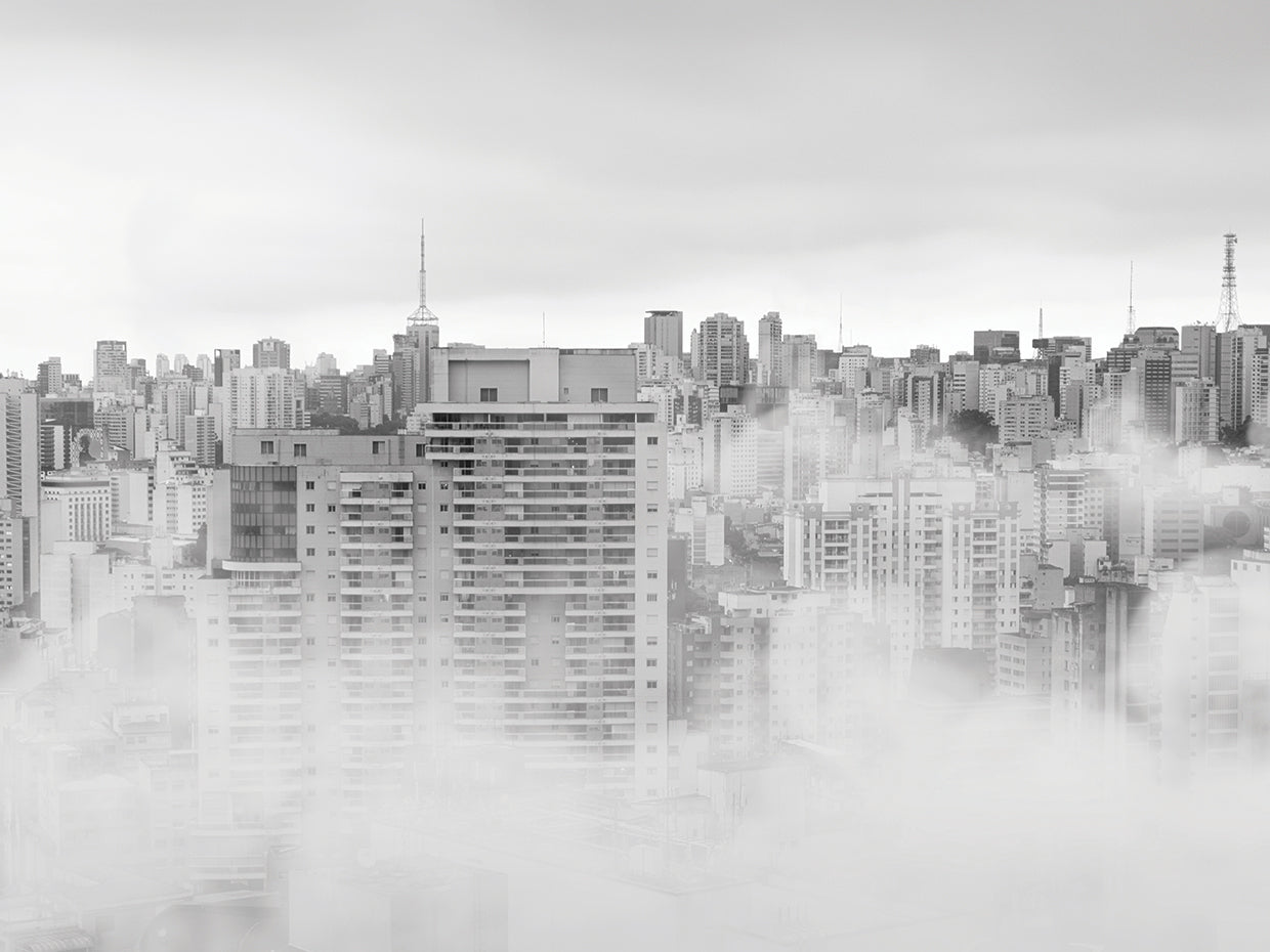 Metropolis 5