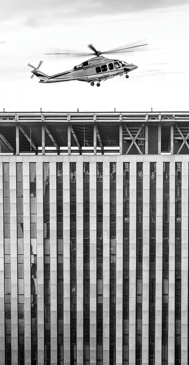 Metropolis 7