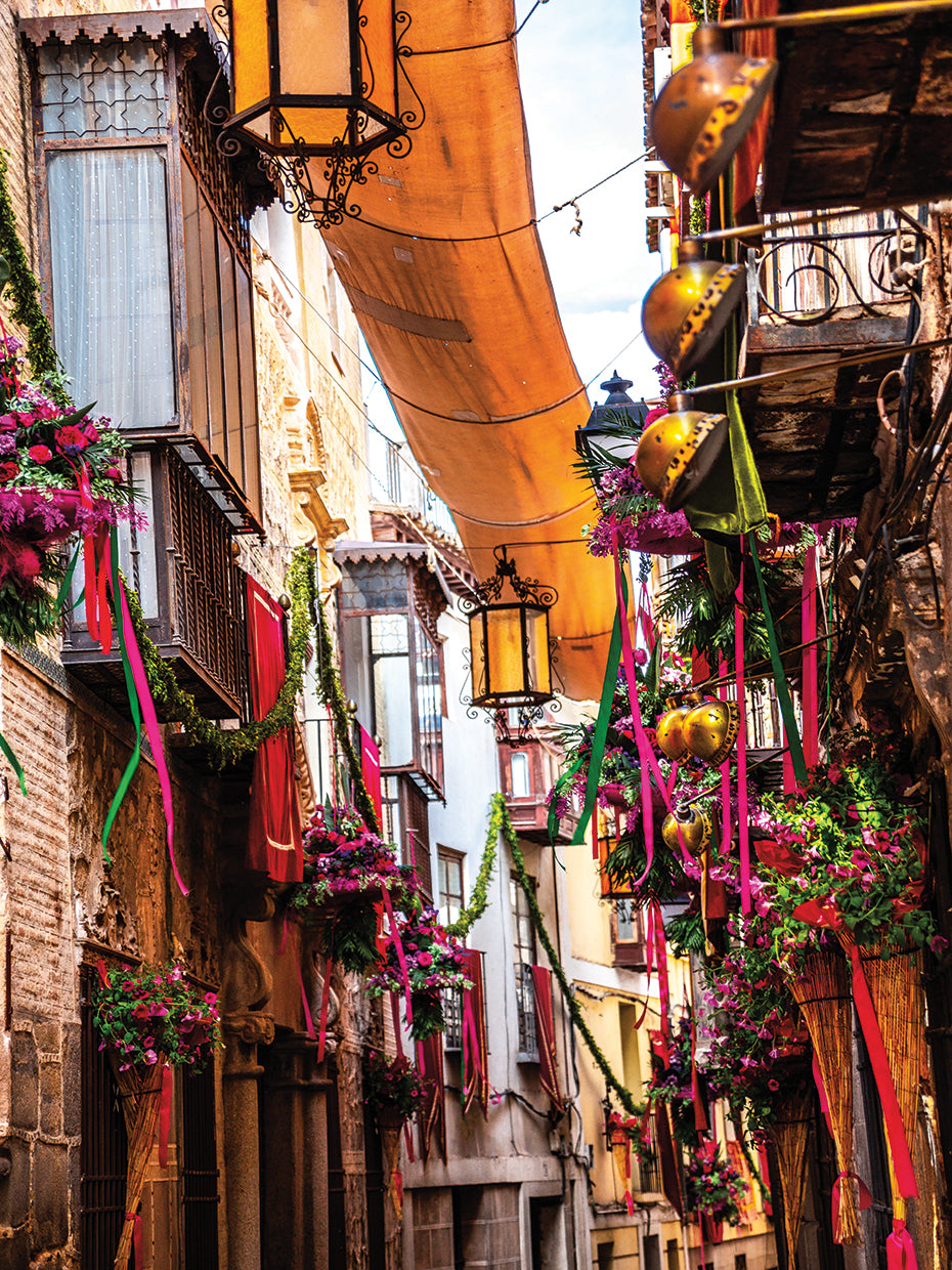 Old Toledo 7