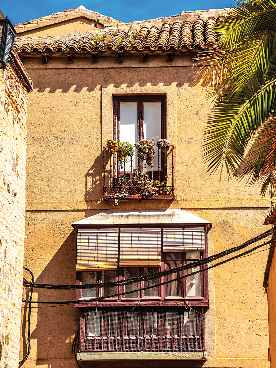 Old Toledo 25
