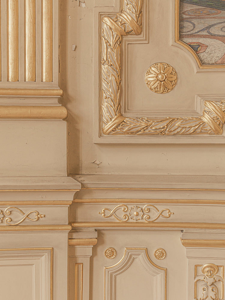 Rio Belle Epoque Theater 6