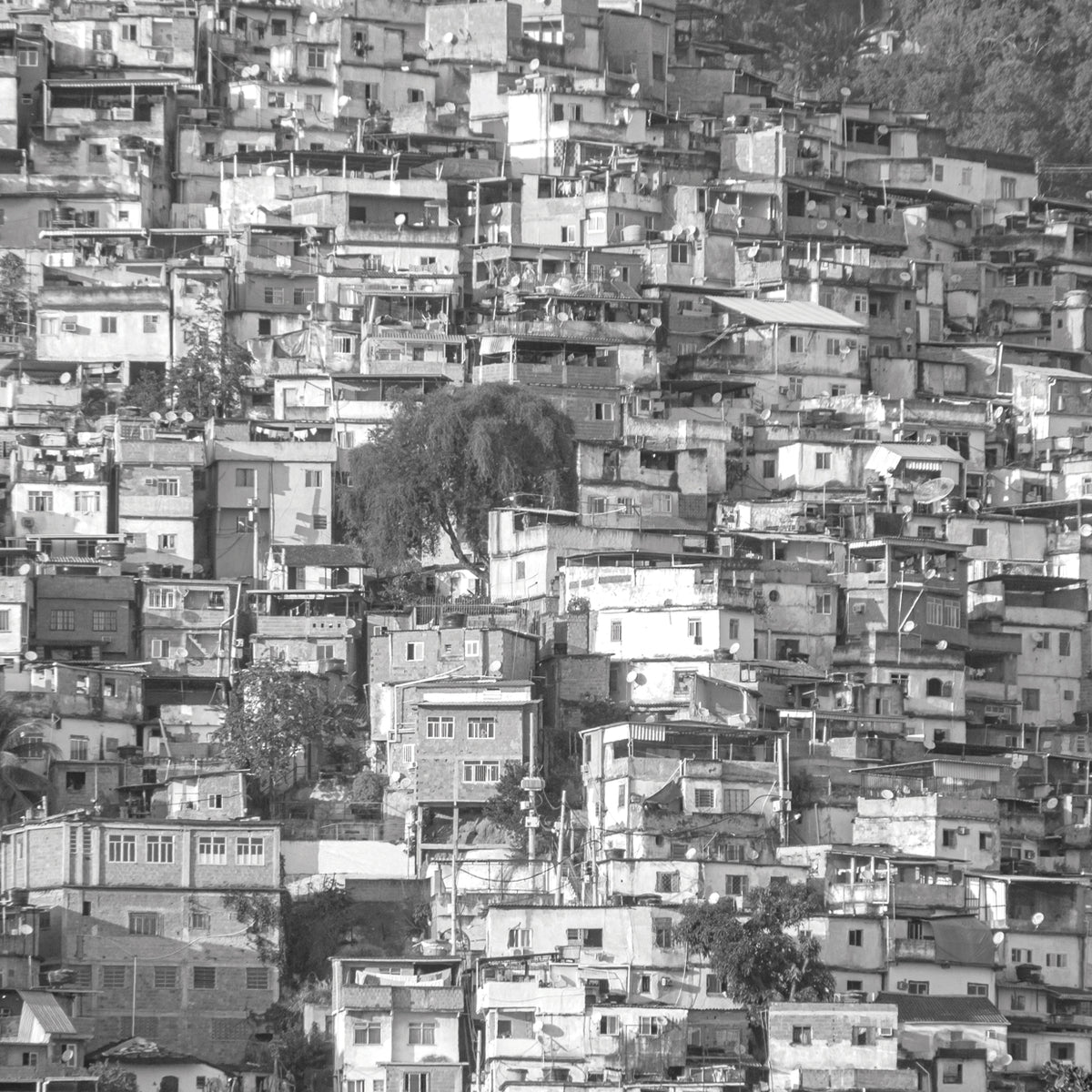 Rio de Janeiro 3