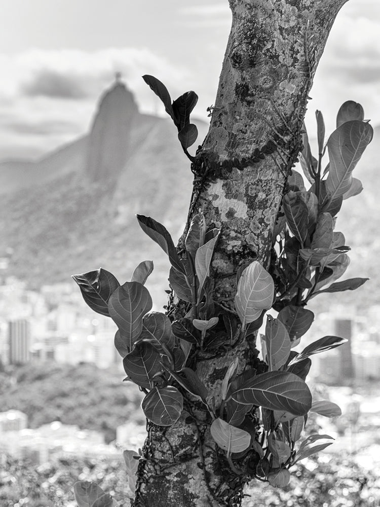 Rio de Janeiro 54