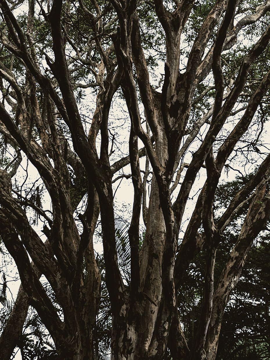 Rio Nature 4
