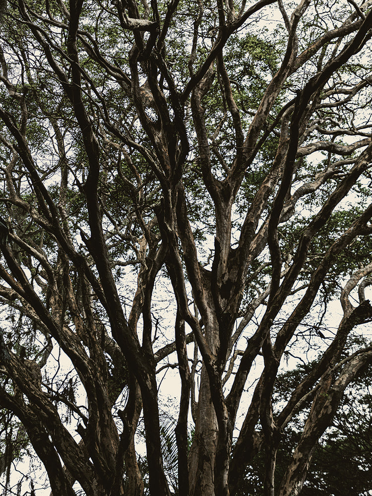 Rio Nature 5