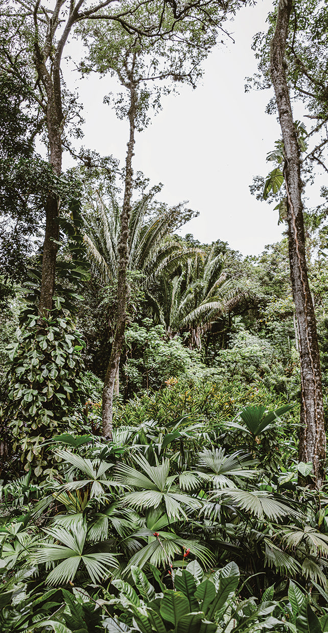 Rio Nature 9