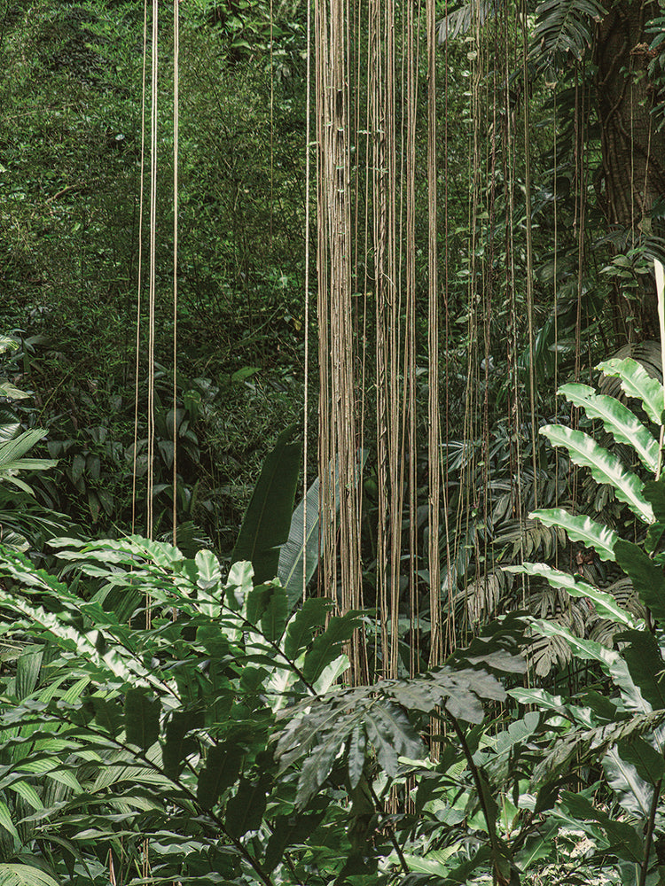 Rio Nature 10