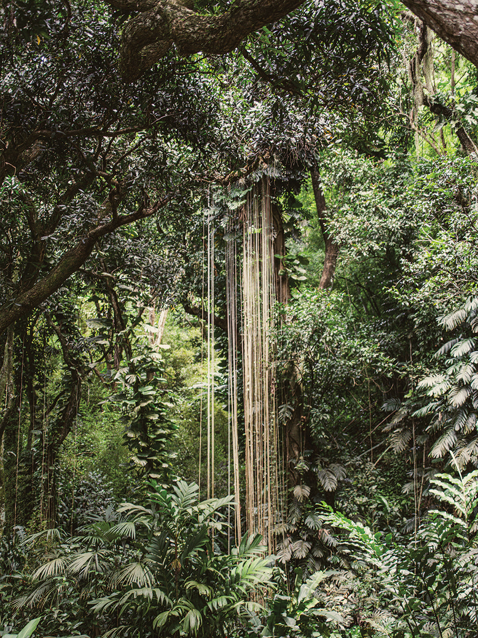 Rio Nature 11