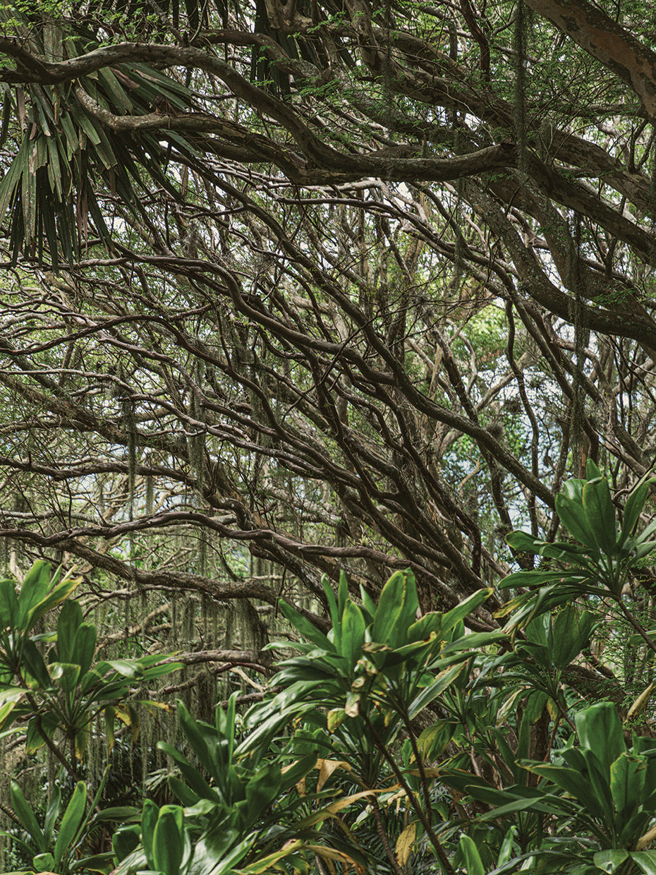 Rio Nature 12