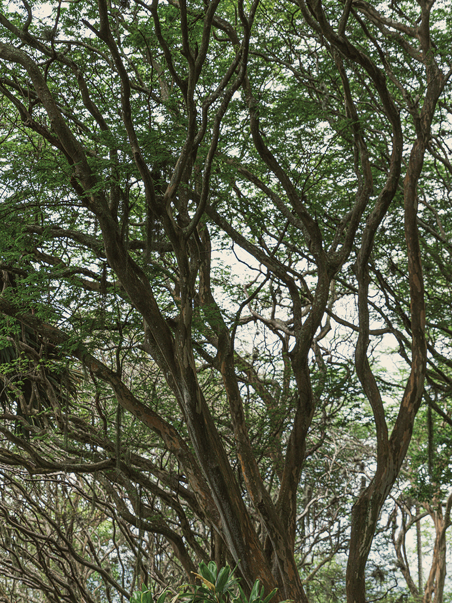 Rio Nature 13