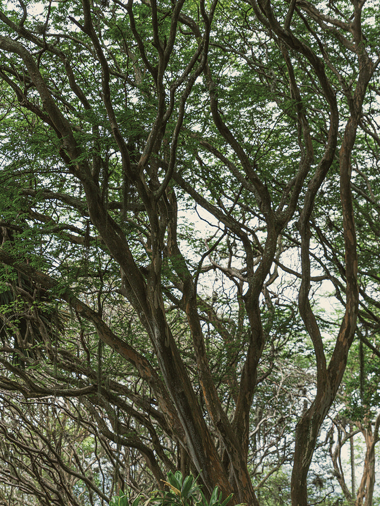 Rio Nature 13