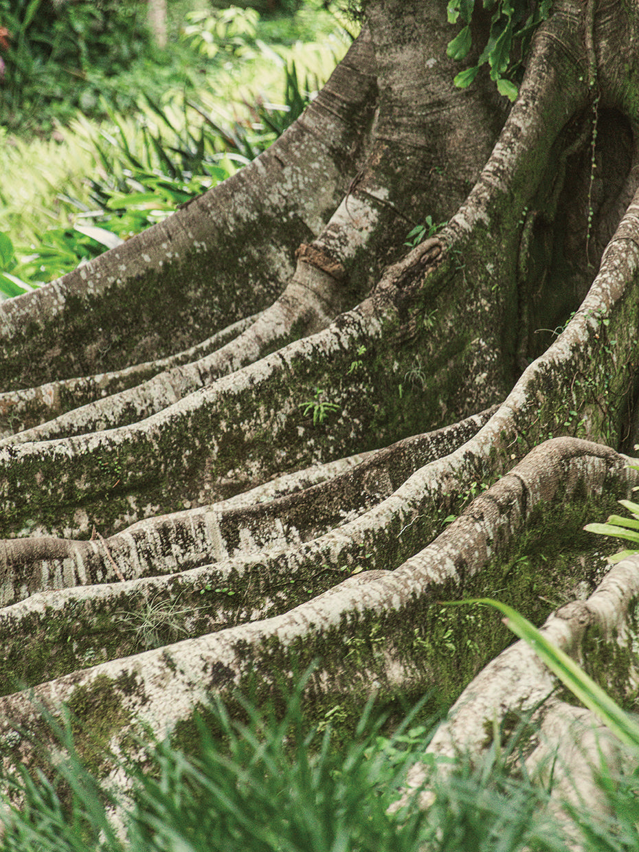 Rio Nature 14
