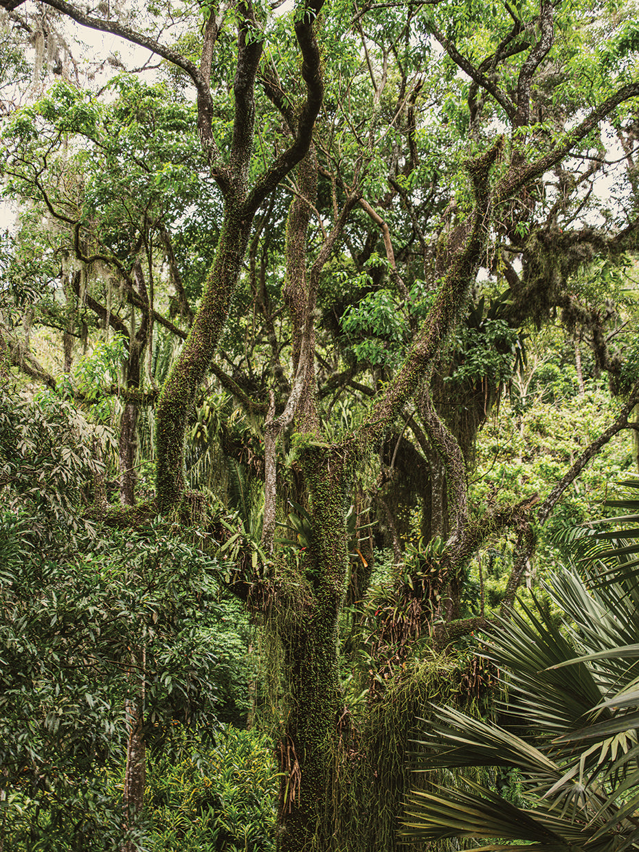 Rio Nature 15