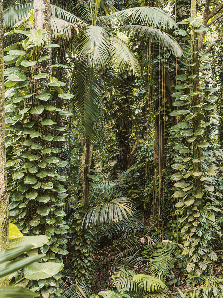 Rio Nature 16