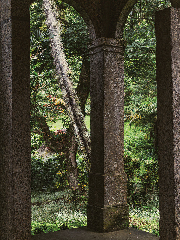 Rio Nature 21