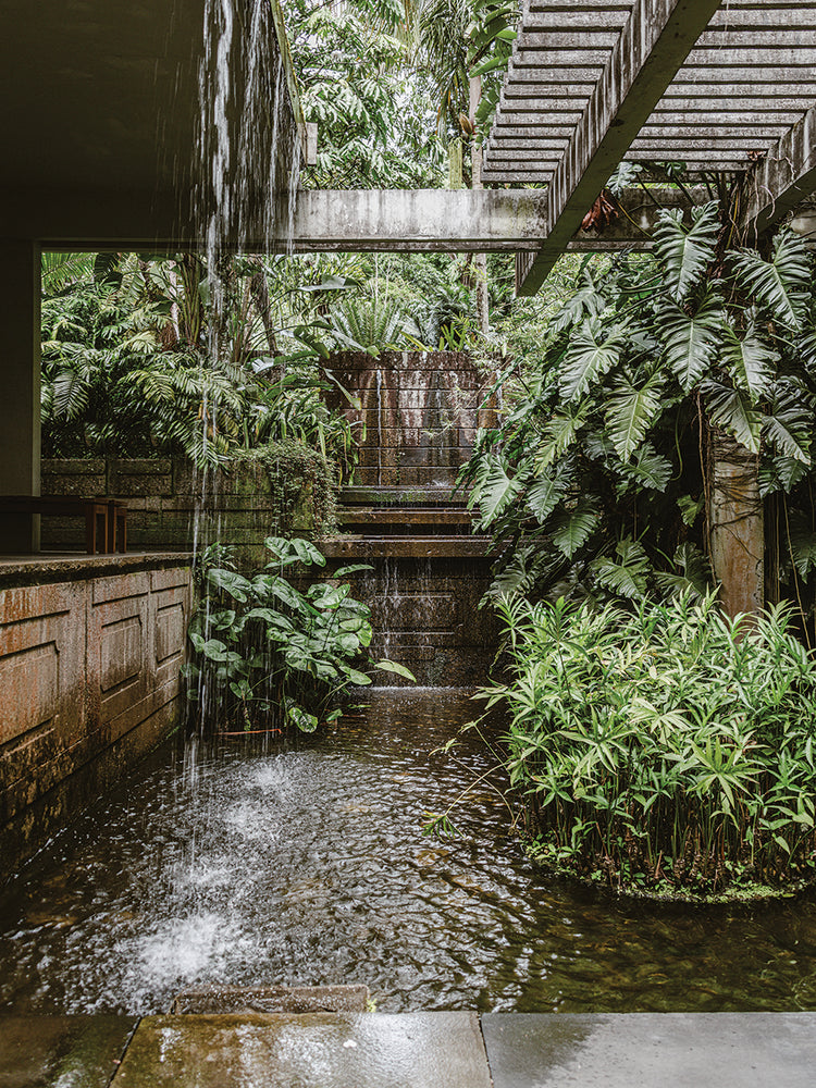 Rio Nature 26
