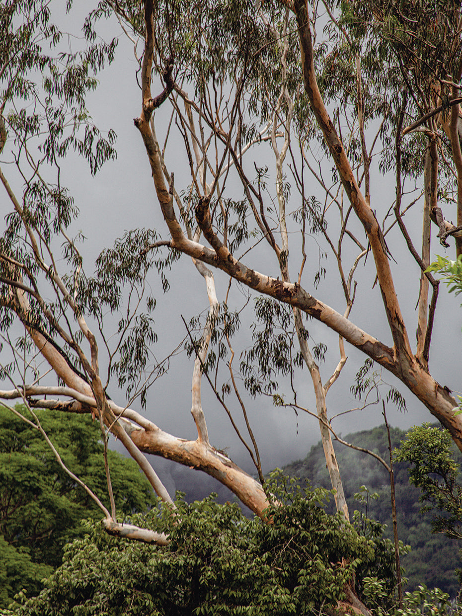 Rio Nature 34