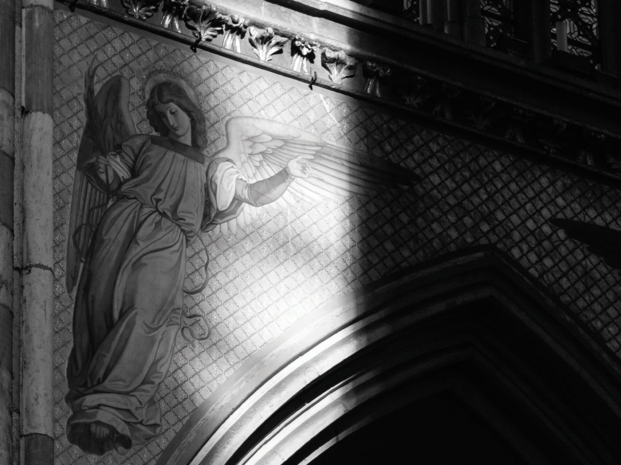 The Cathedral 8