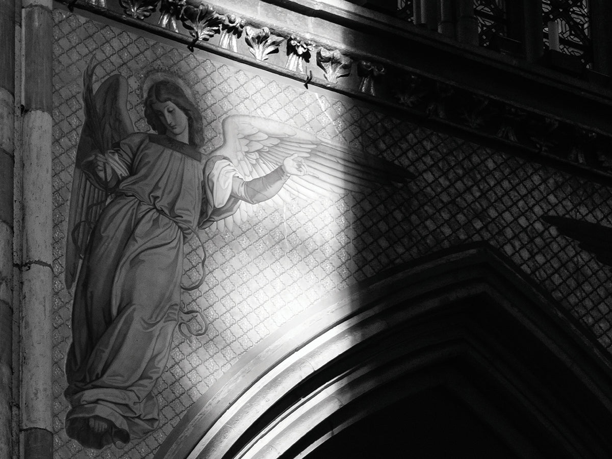 The Cathedral 8