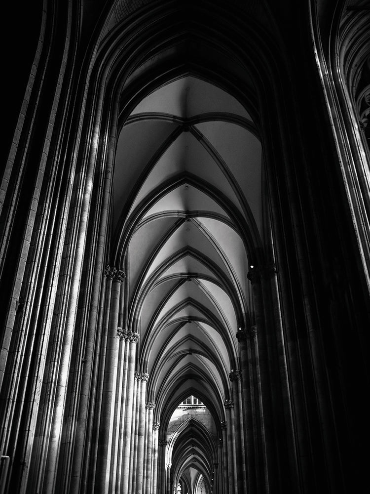 The Cathedral 16