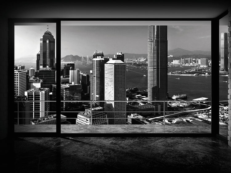 Through The Window 1