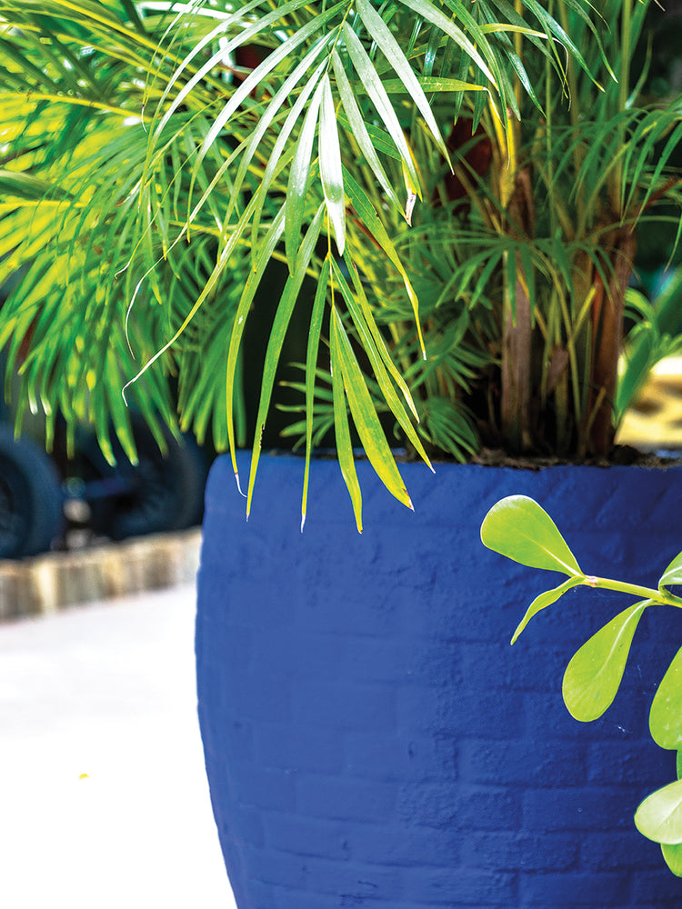 Trancoso Majorelle Blue 1