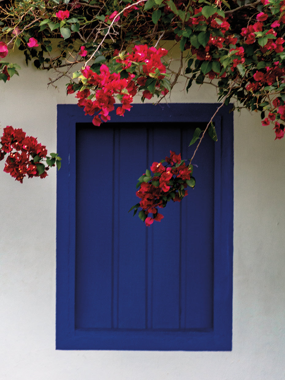 Trancoso Majorelle Blue 2