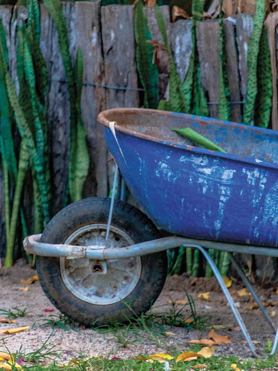 Trancoso Majorelle Blue 10