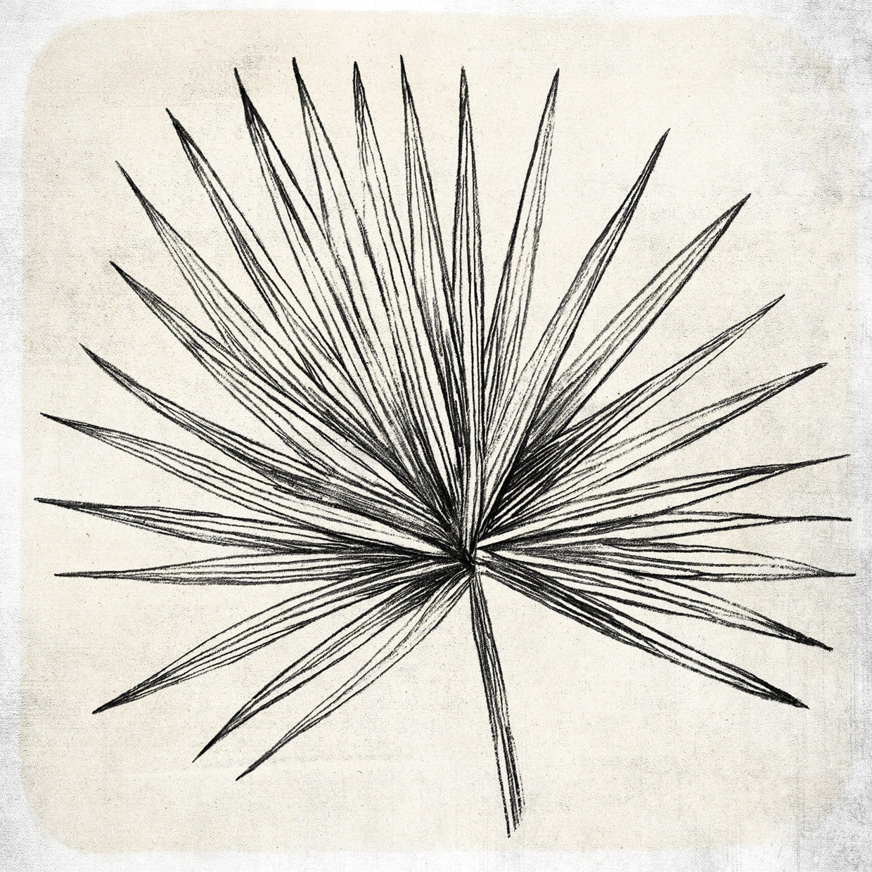 Single Palm Sketch 2