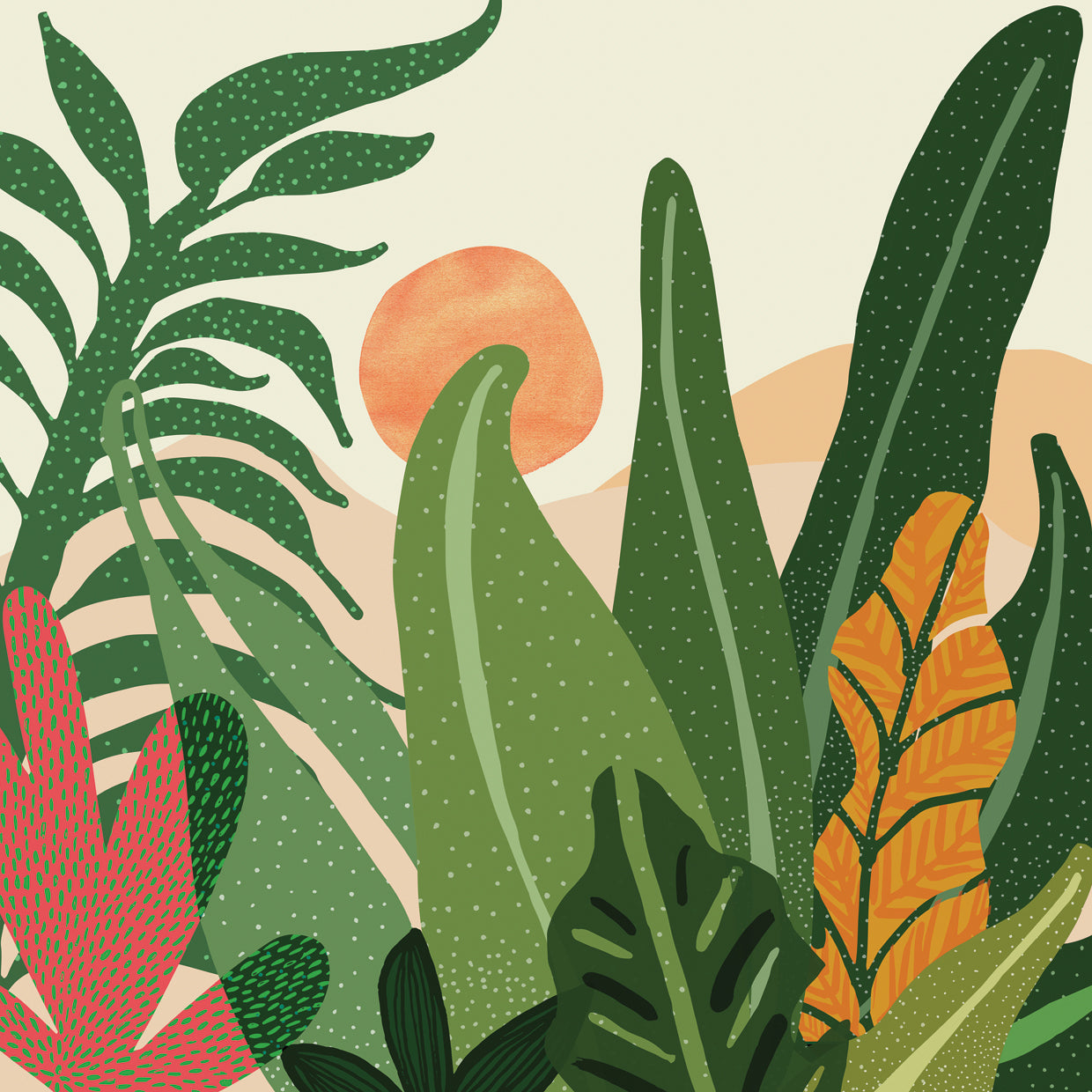 desert-garden-sunset