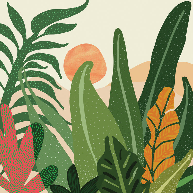 desert-garden-sunset