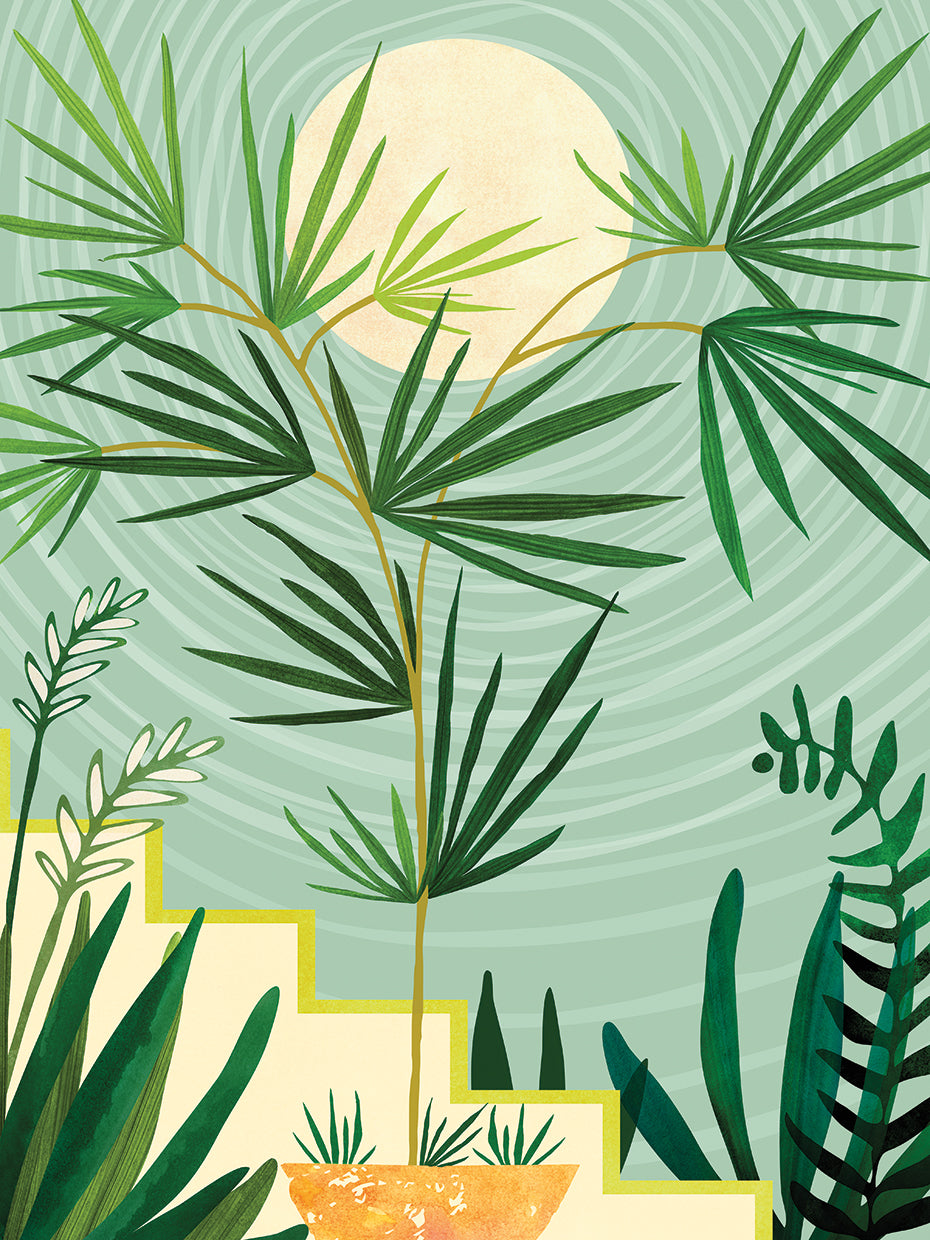 Spring-Desert-Night-Warmb