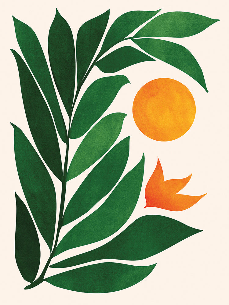 Tropical-Forest-Sunset