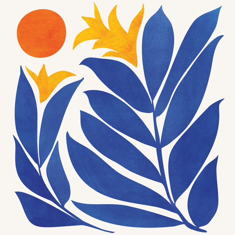 community-garden-noborder