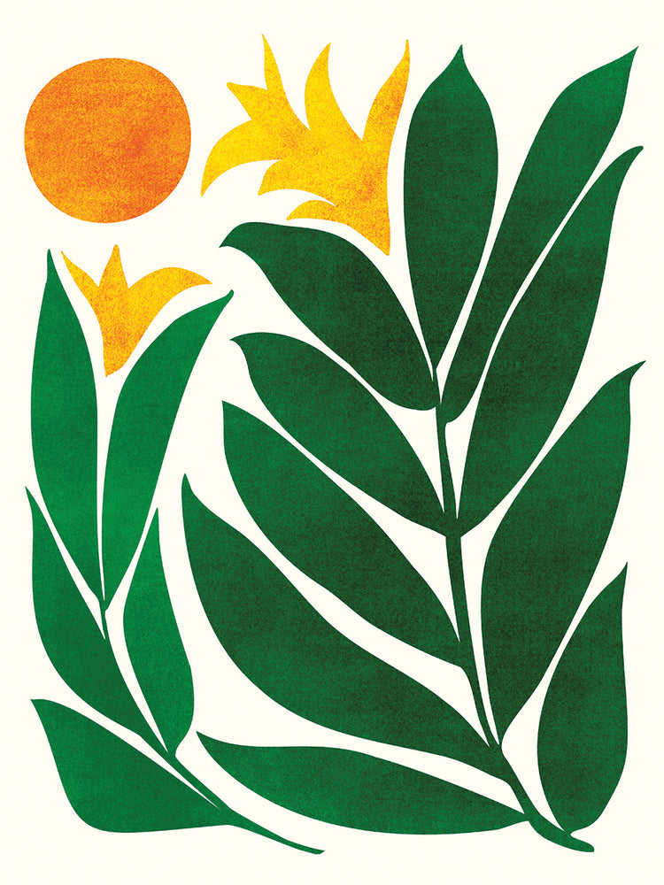 mid-cen-emerald-garden2-