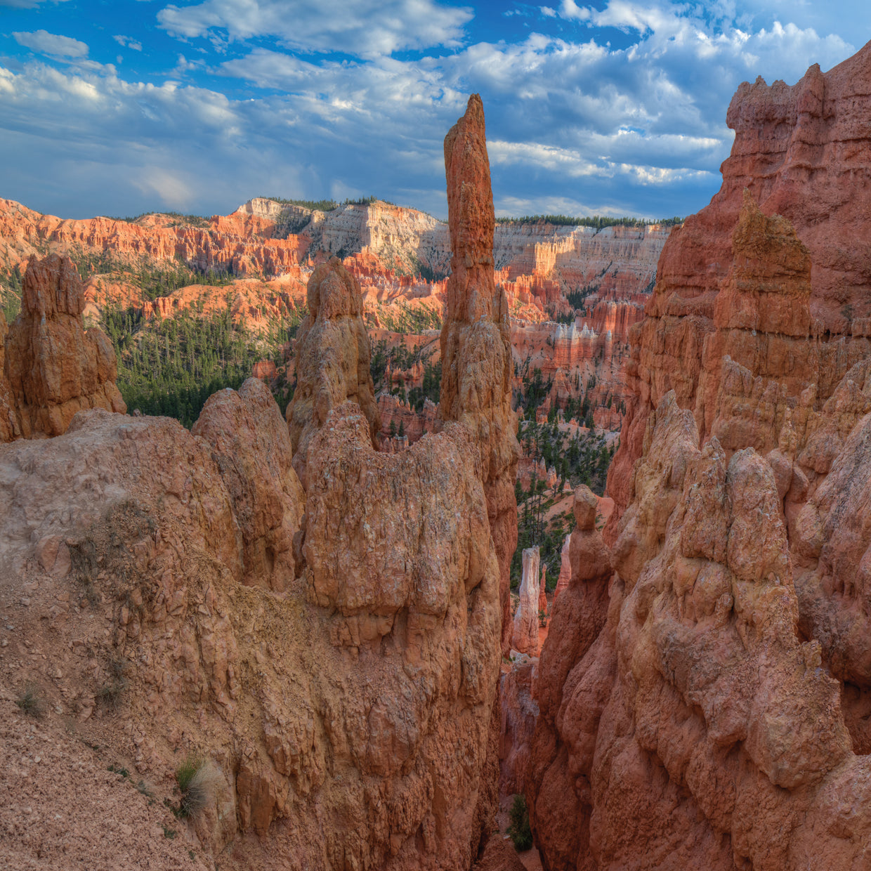 A Journey Through Bryce Canyon-Utah