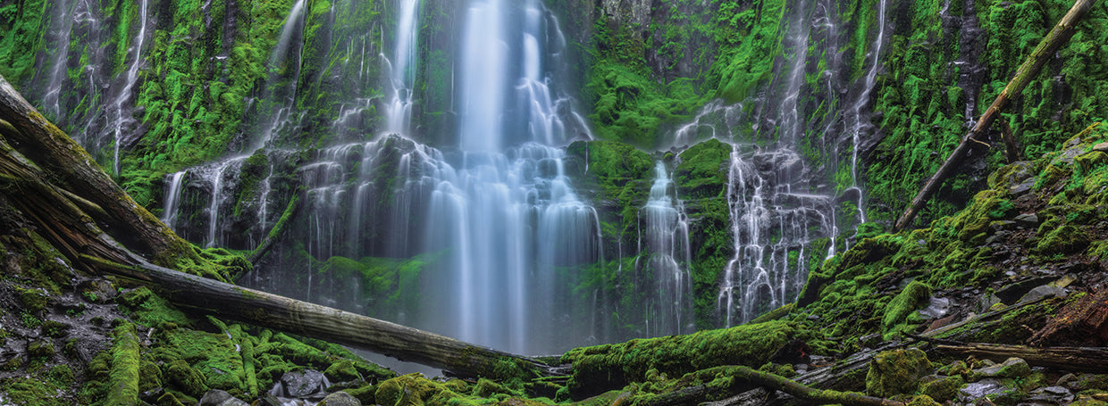 An Encounter With Paradise-Pano