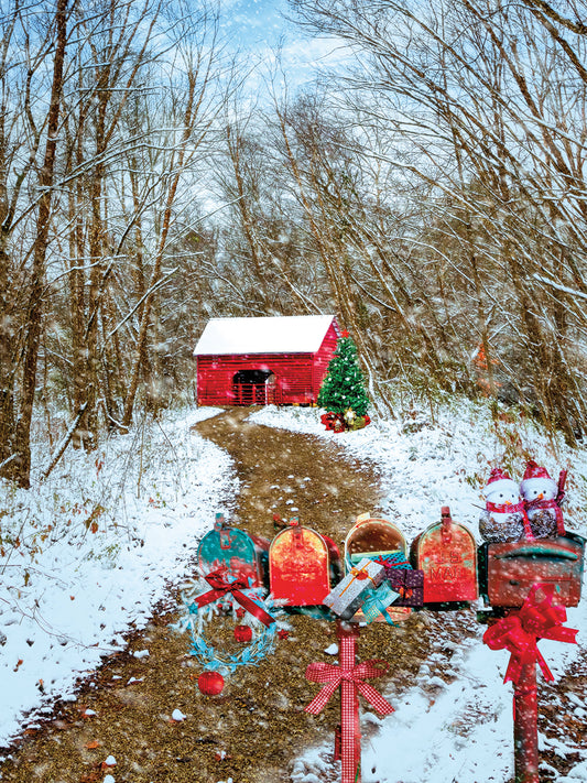 Christmas Mailboxes