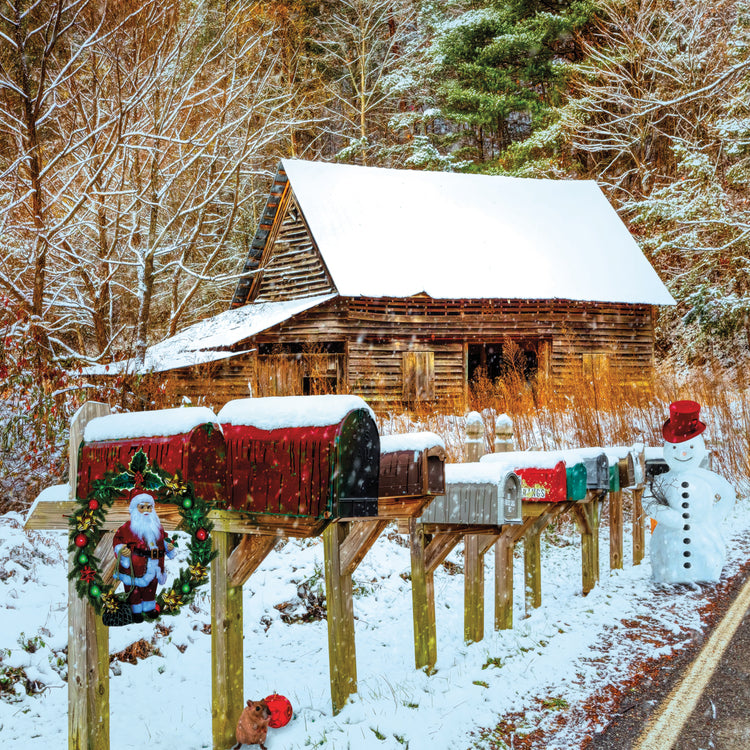 Country Christmas Snow