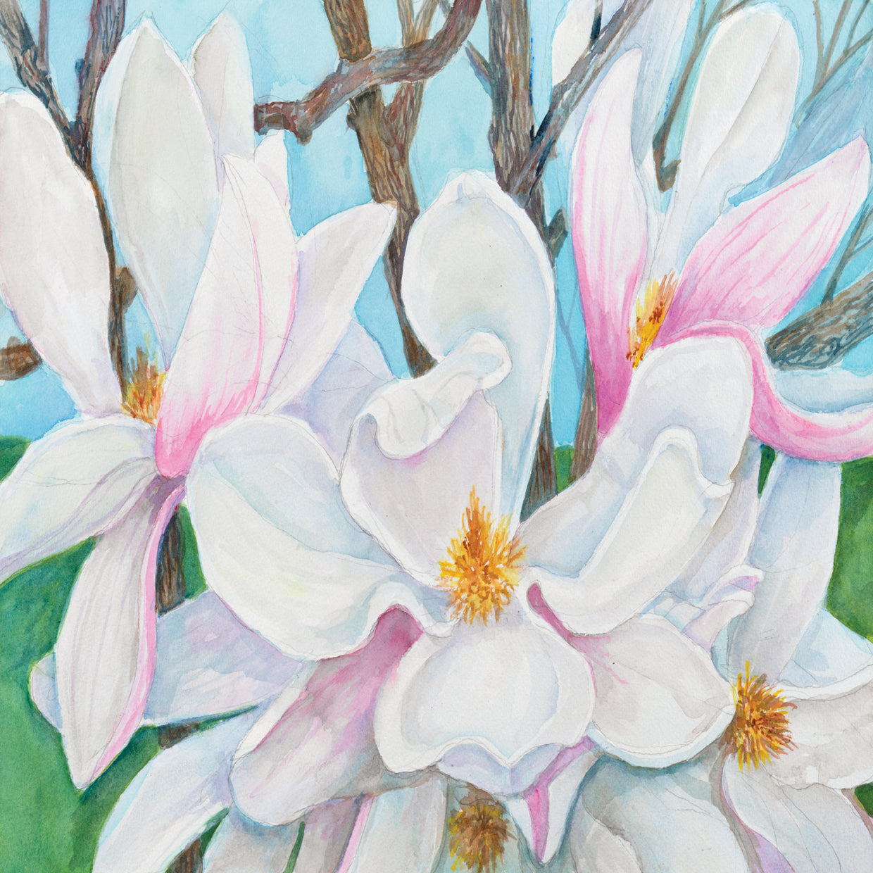 Magnolias in a Tree
