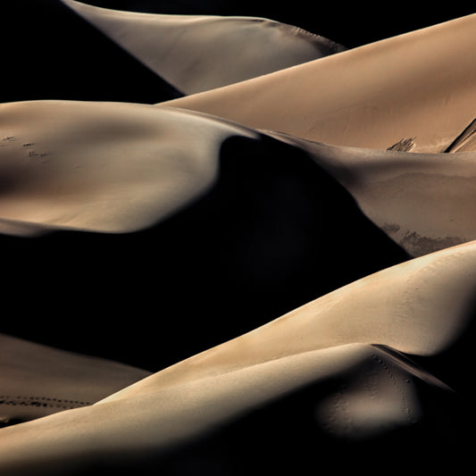 Dune Patterns 1 Canvas Print