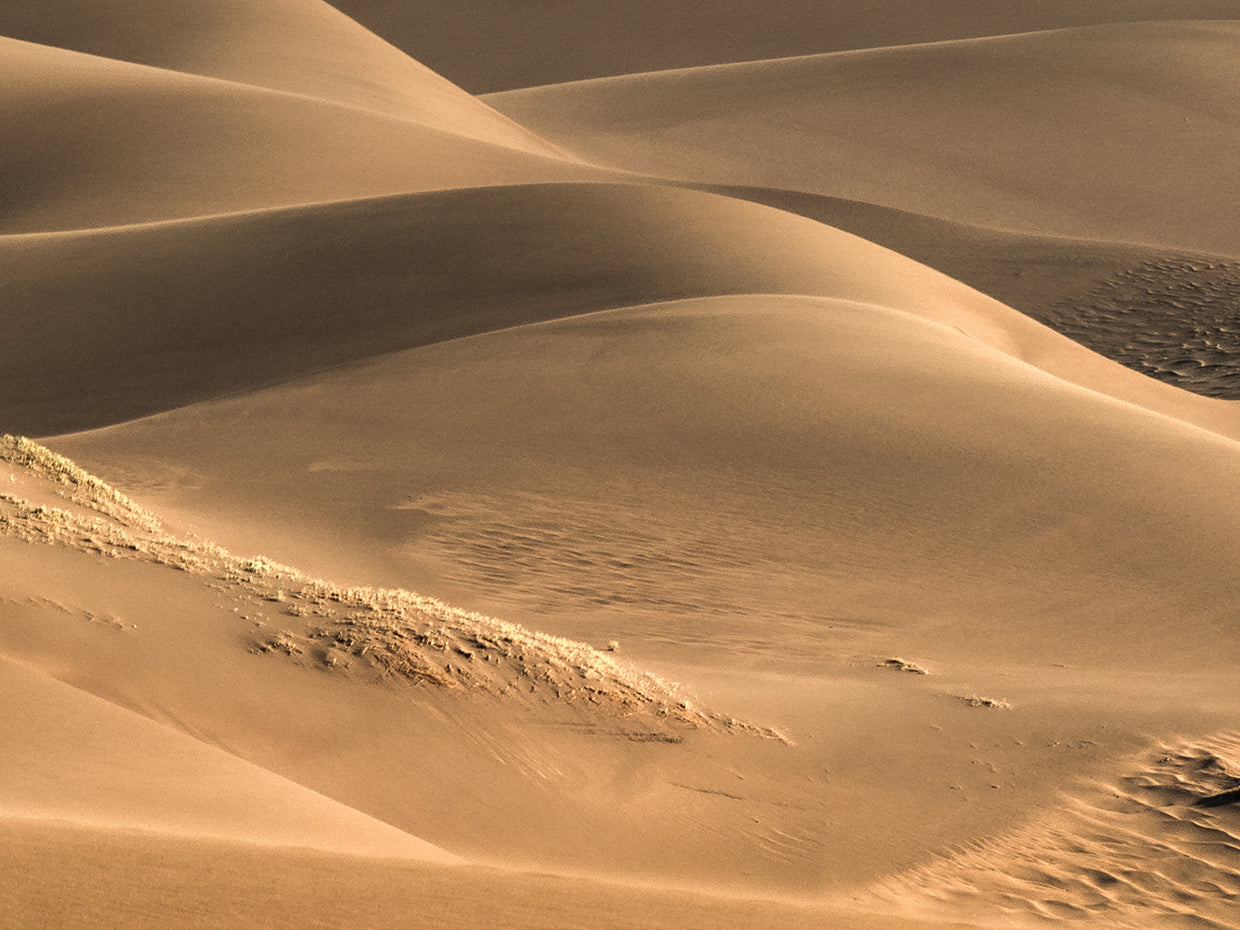 Dunes And Light