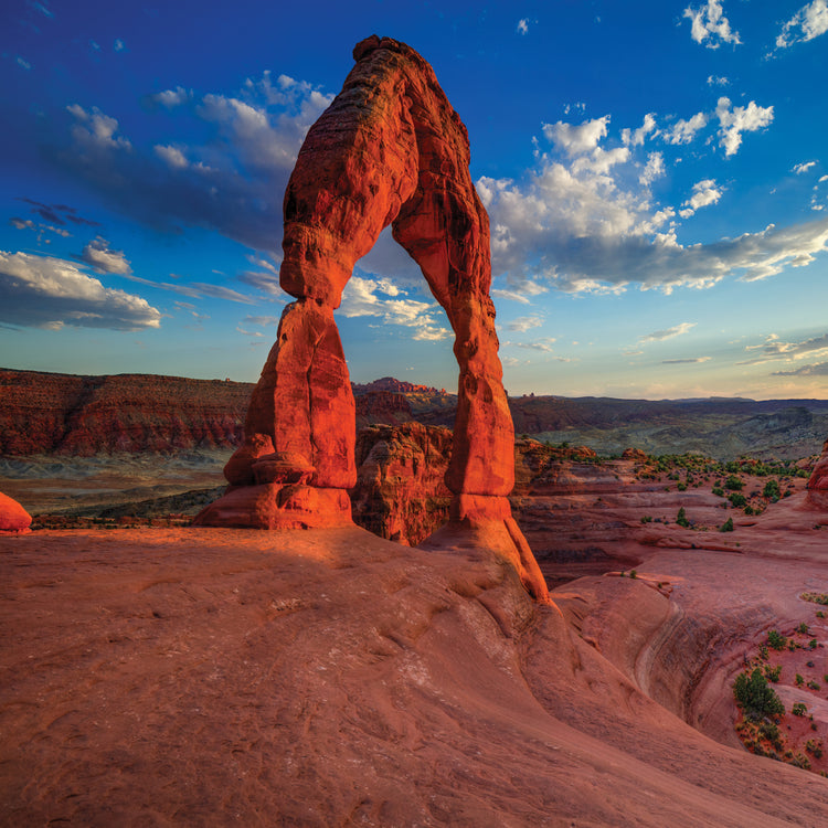 Grace Under Pressure