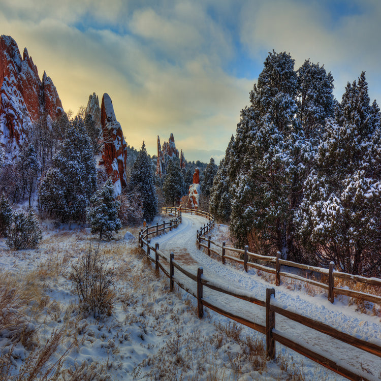 Just A Walk In The Park