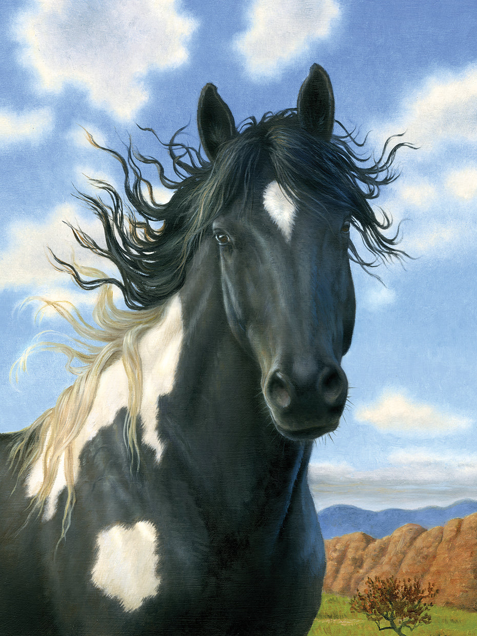 Mustang Horse