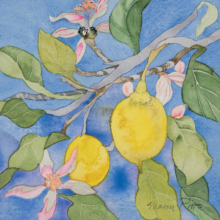Lemon Tree Italy 1