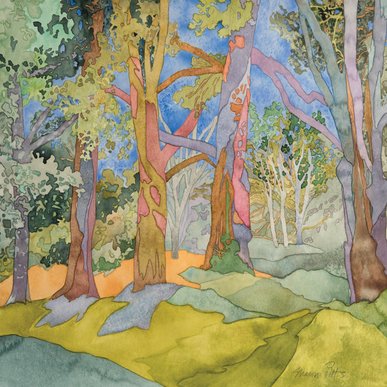 Trees For Civil War Soldiers, Vermont 2