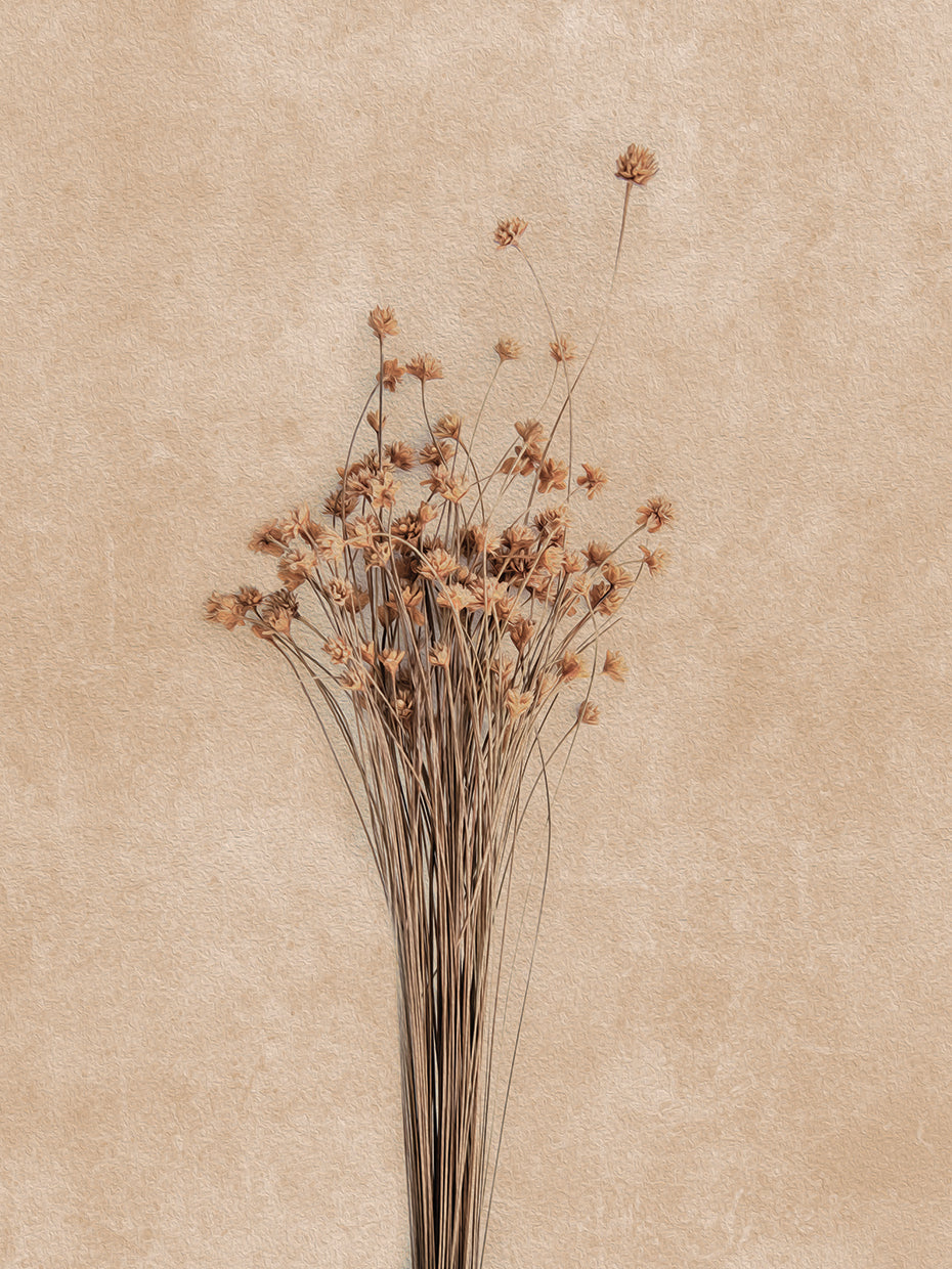Dried Buds