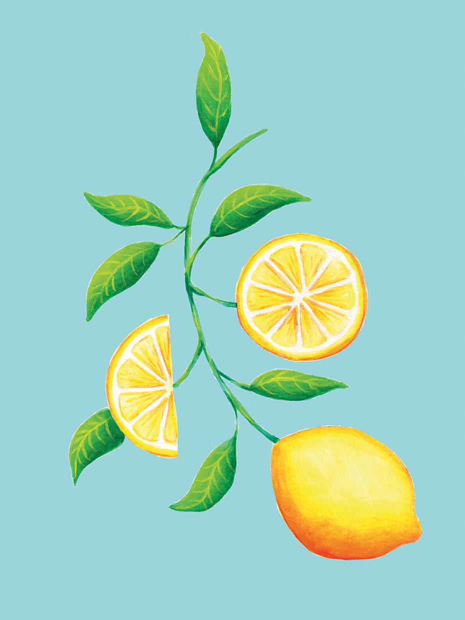 Lemon Slices Branch Blue